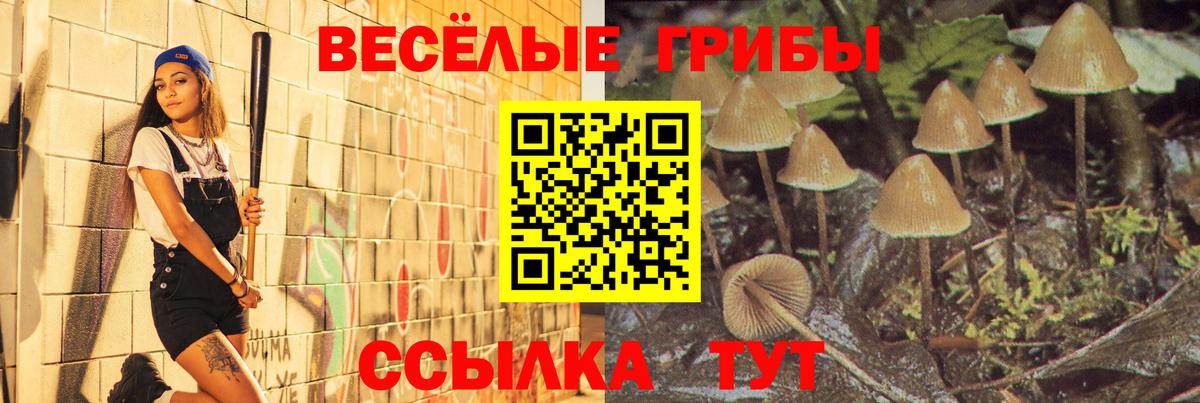 Псилоцибиновые грибы Cubensis  наркошоп  Псилоцибиновые грибы GOLDEN TEACHER  Шахты  Вход с VPN 