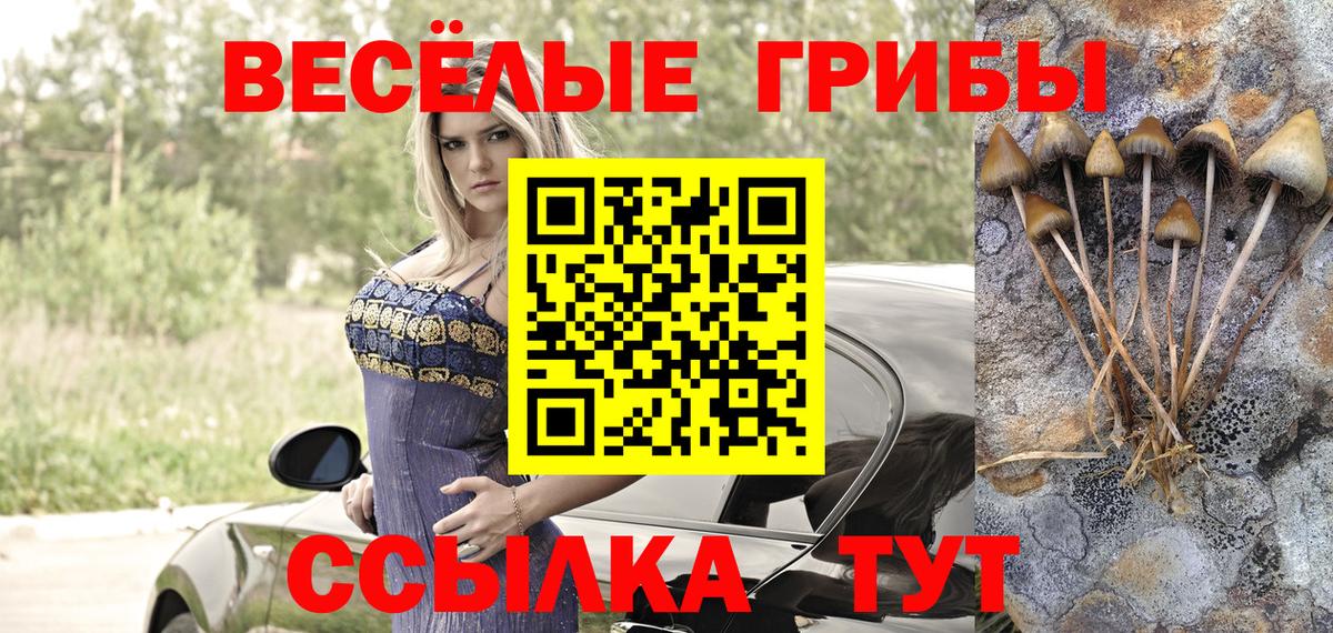 Галлюциногенные грибы Psilocybe Шахты